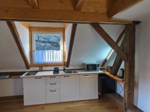 Kuchyň nebo kuchyňský kout v ubytování U ovečky