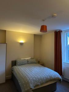 une chambre avec un lit et une fenêtre dans l'établissement The Albert, Montpellier, à Bristol