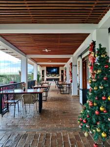 Hotel Pliosaurio Campestre في فيلا دي ليفا: شجرة عيد الميلاد في فناء به طاولات وكراسي