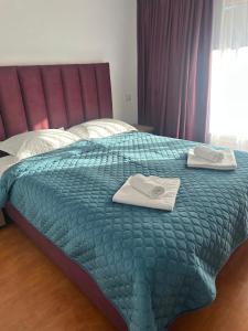 Ένα ή περισσότερα κρεβάτια σε δωμάτιο στο Pensiunea ALDA