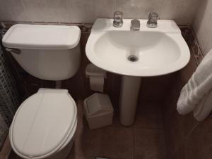 a bathroom with a white toilet and a sink at Piazza Suites 3 in Mendoza