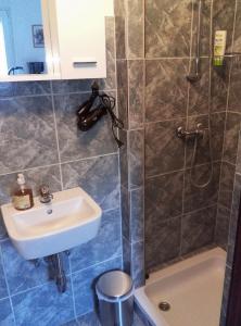 a bathroom with a sink and a shower at Villa Abelia in Medulin
