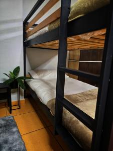 una litera en una habitación de albergue con una litera en un dormitorio en Hostel Cangas Backpackers, en Cangas de Morrazo