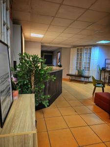 un vestíbulo de oficina con recepción y plantas en Hostel Cangas Backpackers, en Cangas de Morrazo