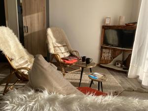 a living room with two chairs and a tv at Maisonnette Hauts d'Evian in Larringes