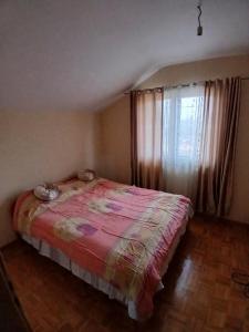 Φωτογραφία από το άλμπουμ του Pašić σε Sarajevo