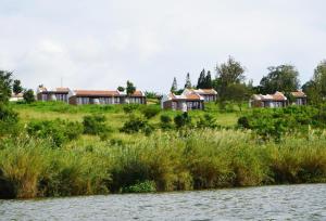 Naturlandskabet i nærheden af lodgen