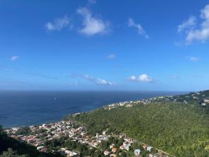 Fotografie z fotogalerie ubytování Élégant T2 avec vue sur la mer des Caraïbes v destinaci Schoelcher