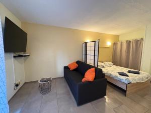 Et tv og/eller underholdning på Havre de paix studio parking