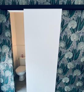 a bathroom with a toilet and green and white wallpaper at Studio du port avec jardin privé in Saint-André-de-Cubzac