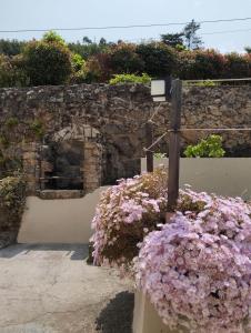 Zahrada ubytování Doniños Paraíso