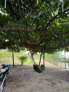 Galería fotográfica de Casa campestre PAVO REAL en El Cerrito