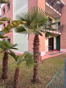 two palm trees in front of a building at La Riviera in Mira