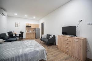 TV a/nebo společenská místnost v ubytování Studio apartman MALA OAZA