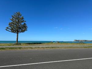 Fotografie z fotogalerie ubytování Beach Front Nest v destinaci Napier