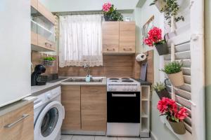a small kitchen with a stove and a washing machine at Verdea Suite in Ágios Rókkos
