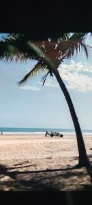 Boukot OuolofにあるTortuga Lodge Mission BaoBabの浜辺に車が停まっているヤシの木
