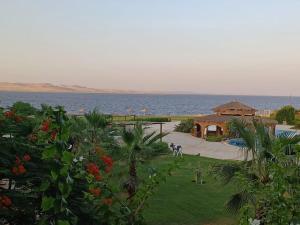 - Vistas al océano desde un complejo en Private quite resort with lake view among nature, en Tunis 1 foto más