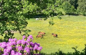 Κήπος έξω από το Lovely Home In Ljungskile With Wifi