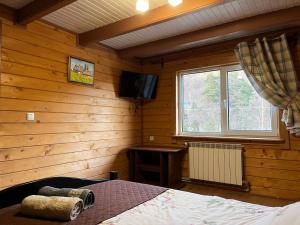 ein Schlafzimmer mit einem Bett und einem Fernseher in einem Zimmer in der Unterkunft Karpatske Vidlunnya in Mykulytschyn