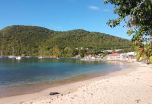 een uitzicht op een strand met een berg op de achtergrond bij Le Triton in Deshaies