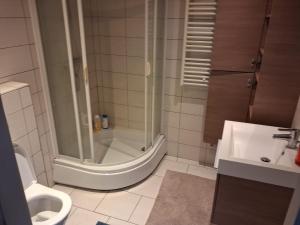 Koupelna v ubytování Apart studio9