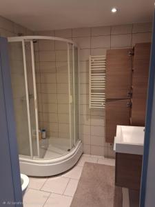 Koupelna v ubytování Apart studio9