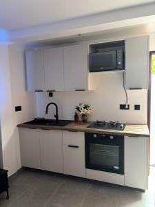 Køkken eller tekøkken på T2 moderne a 300 m hopital cayenne + 4 billeder