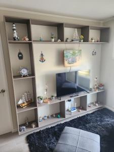 Una sala de estar con televisión y estanterías. en Departamento 2D y 2B Familiar, en Concepción