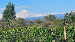 Nespecifikovaný výhled na hory nebo výhled na hory při pohledu z kempu + 4 fotografie