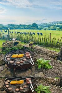 Příroda nedaleko kempu