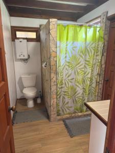 un bagno con un water e una tenda da doccia di Moorea blue lagoon chalet a Moorea Altre 23 foto