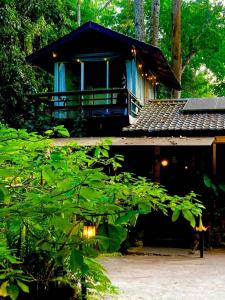 a small cabin in the woods with a tree at เฌอPrime Cher Prime by Tree house Maelai in Ban Pok Nai