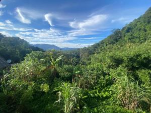 a view of a lush green hillside with mountains at De la rosa y el canto de los pájaros in Paraty