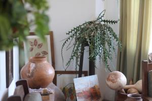 een tafel met een vaas en een potplant erop bij Hotel Demi in Villa Gesell