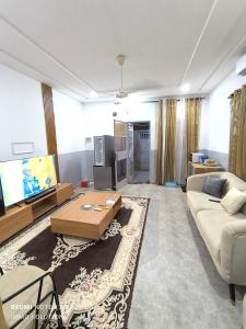 尼亚美Immo Solutions的客厅里有一张沙发和一台电视