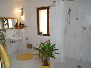 een badkamer met een wastafel en een douche met een plant bij Pension Espenhof in Strüth +9 foto's