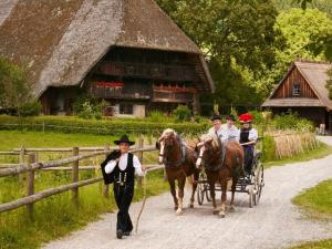 un grupo de personas montando en un carruaje tirado por caballos en Holiday home with 1 bedroom, en Friesenheim