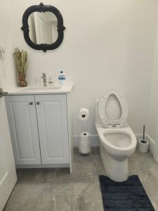 Lakeview Breaktrail Stays في Crosby Island: حمام مزود بمرحاض ومغسلة ومرآة +20 صورة