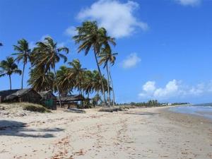 a sandy beach with palm trees and the ocean at Recanto Lucena - Casa inteira com churrasqueira in Lucena