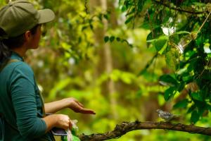 Hosté ubytování Osprey Ecolodge + 9 fotografií