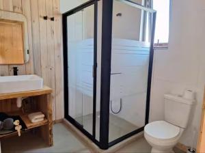 een badkamer met een douche, een toilet en een wastafel bij Sirena Lodge in De Cauquenes +5 foto's