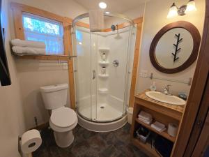 Elk Ridge - cherokee casino GSMNP في Whittier: حمام مع دش ومرحاض ومغسلة