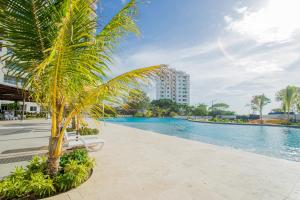 a palm tree sitting next to a swimming pool at Elemnt Rentals in Santa Marta