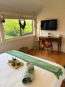 een slaapkamer met een bed, een bureau en een televisie bij Mystic Gardens with private entrance and bathroom in Wentworthville +39 foto's