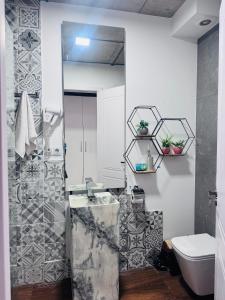 a bathroom with a shower and a sink and a toilet at Twins apartment delux 2, new gudauri in Gudauri