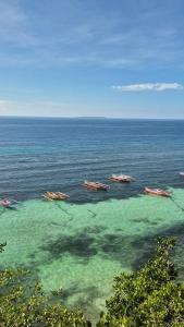 Naturlandskabet i nærheden af bed and breakfast-stedet