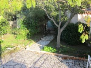 un arbre se trouve à côté d'une allée en pierre dans l'établissement Magnifique villa au calme clim parking piscine, à Six-Fours-les-Plages