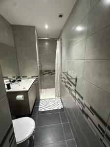 Un baño con inodoro, lavabo y ducha. en Studio à 2 pas des thermes, en Saint-Martin-d'Uriage