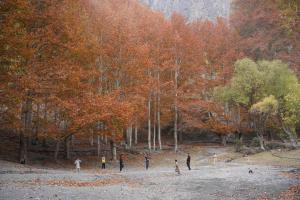 Una pintura de un grupo de personas de pie en un bosque. en Secret Garden Hostel & Guesthouse, en Chitral